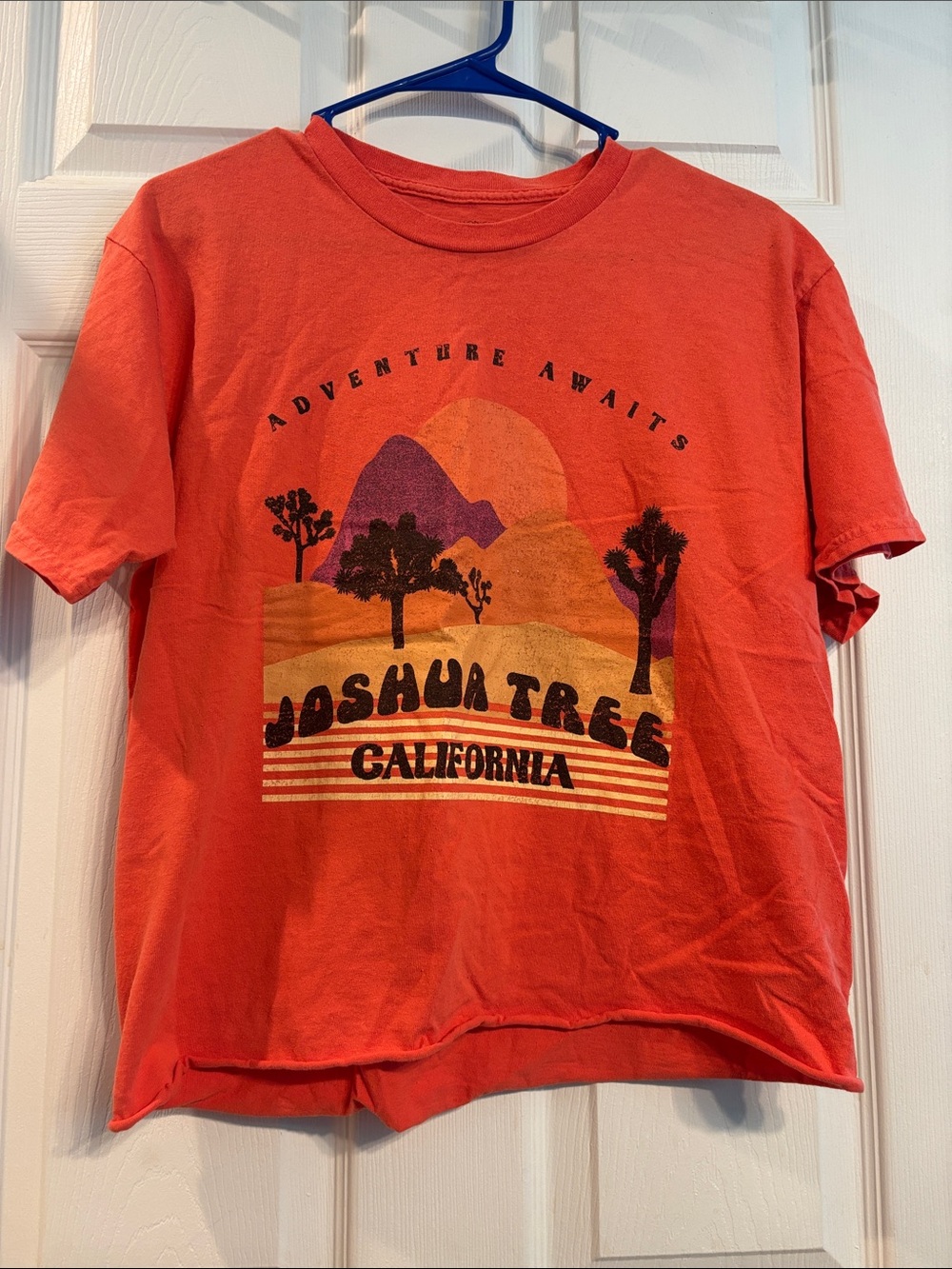 Joshua Tree California Graphic Tee - Orange Short Sleeve